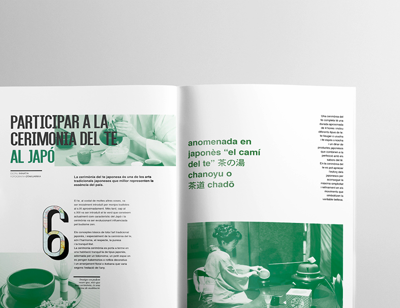 REVISTA 10